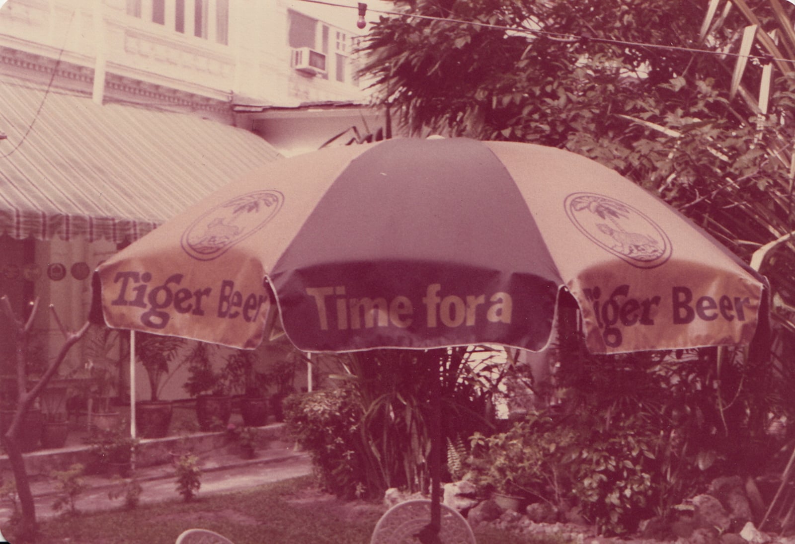 Tiger Beer Umbrella Photograph
