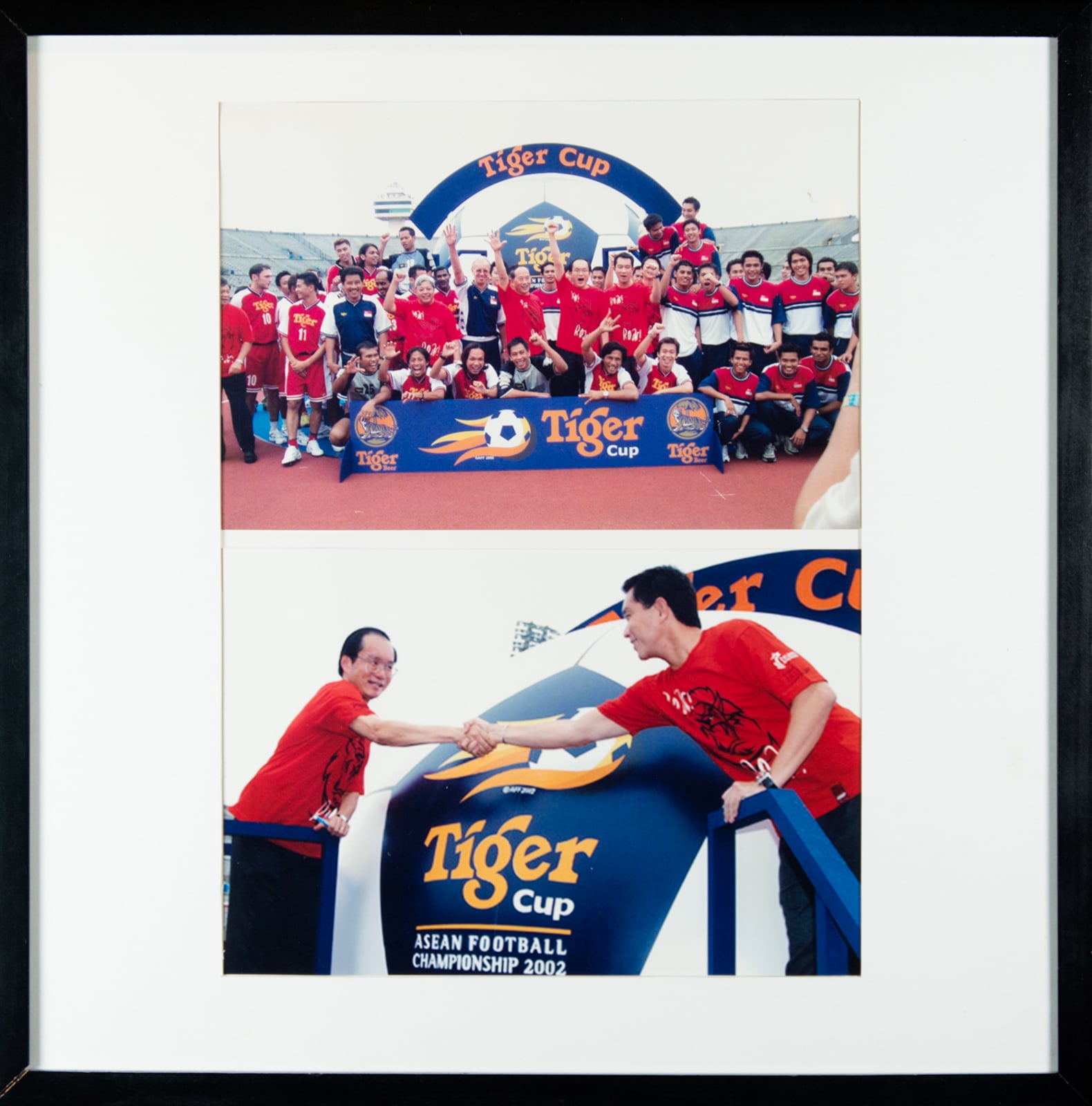 Tiger Cup Photo Collage