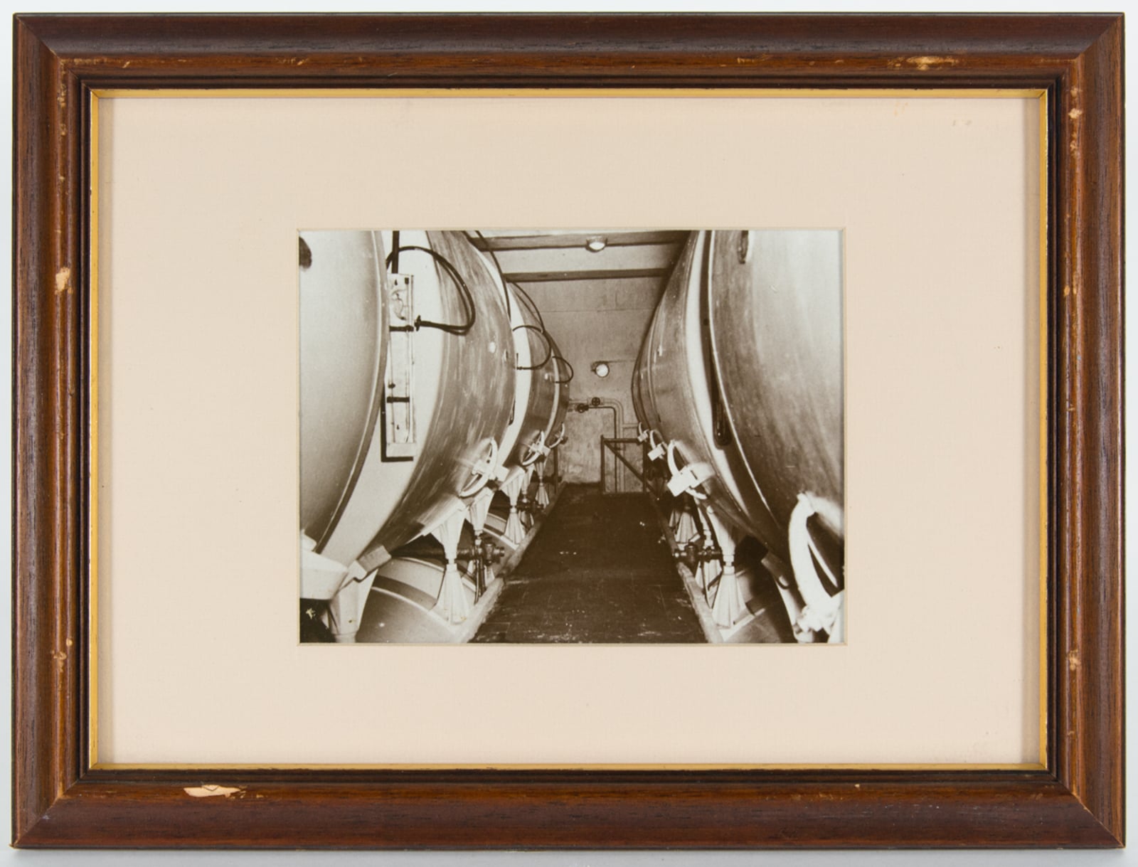 Storage of Lager Cellars Photograph
