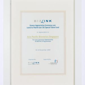 APBS Sponsorship to Bzlink Certificate 2009