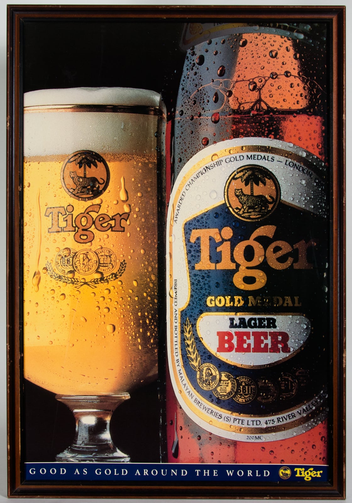Tiger Gold Medal Lager Beer Advertisement