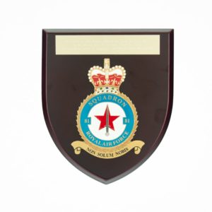 Squadron 81 Royal Airforce Plaque