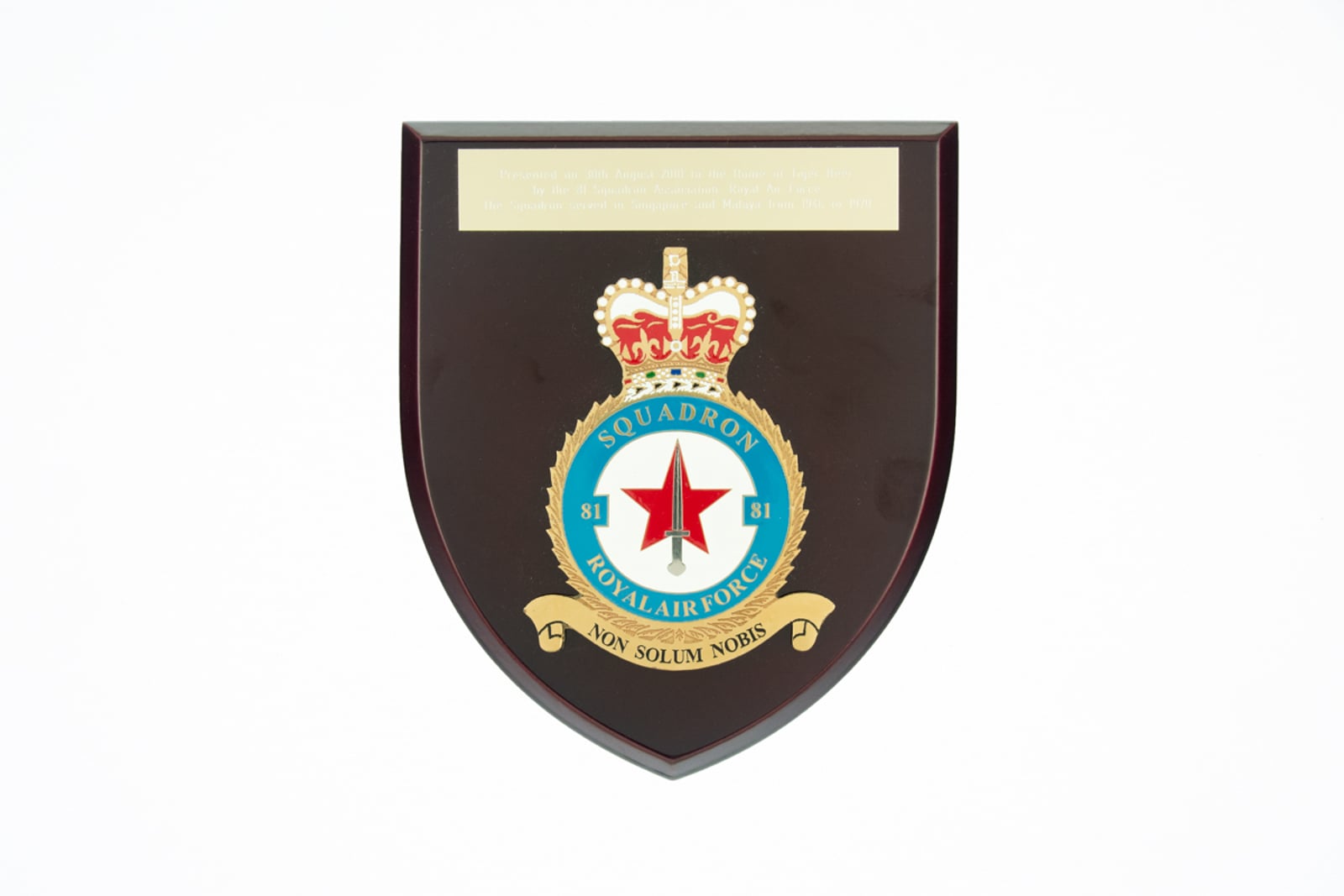 Squadron 81 Royal Airforce Plaque