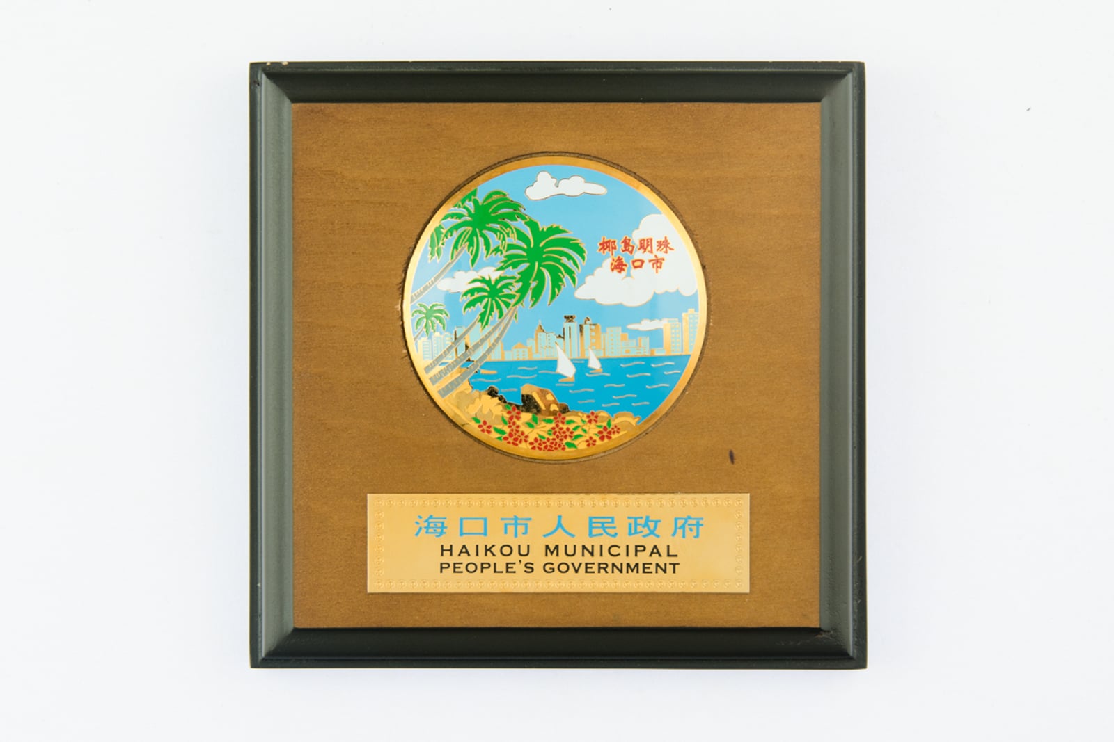 Haikou Municipal People's Government Plaque