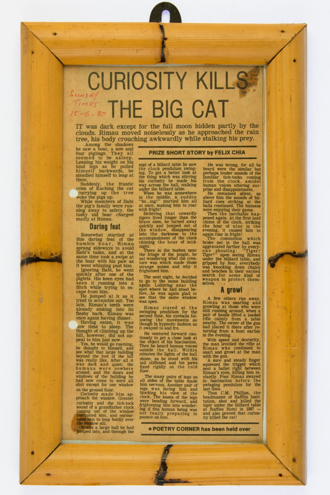 Curiosity Kills the Big Cat Newspaper Article 1980