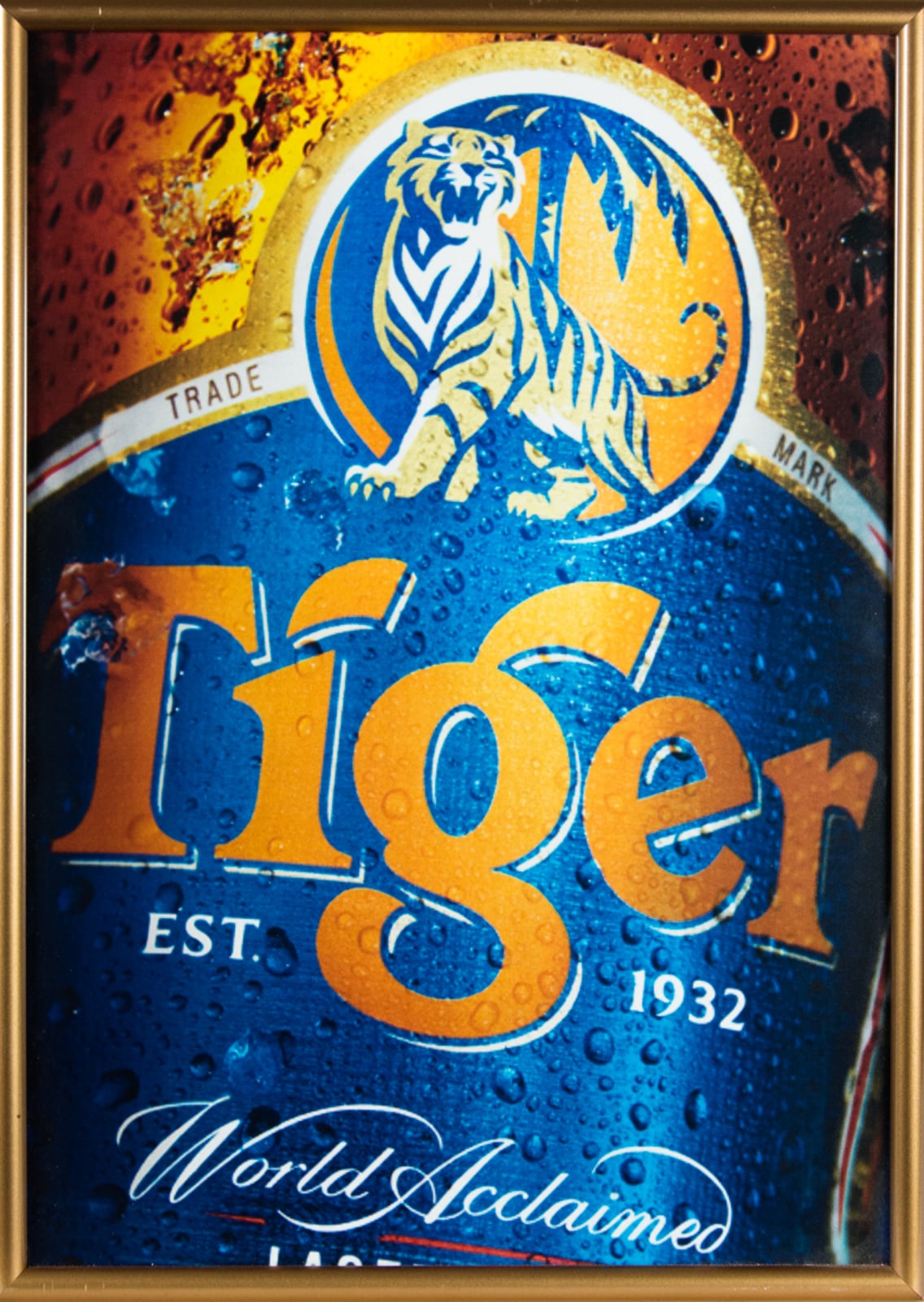 Tiger World Acclaimed Advertisement