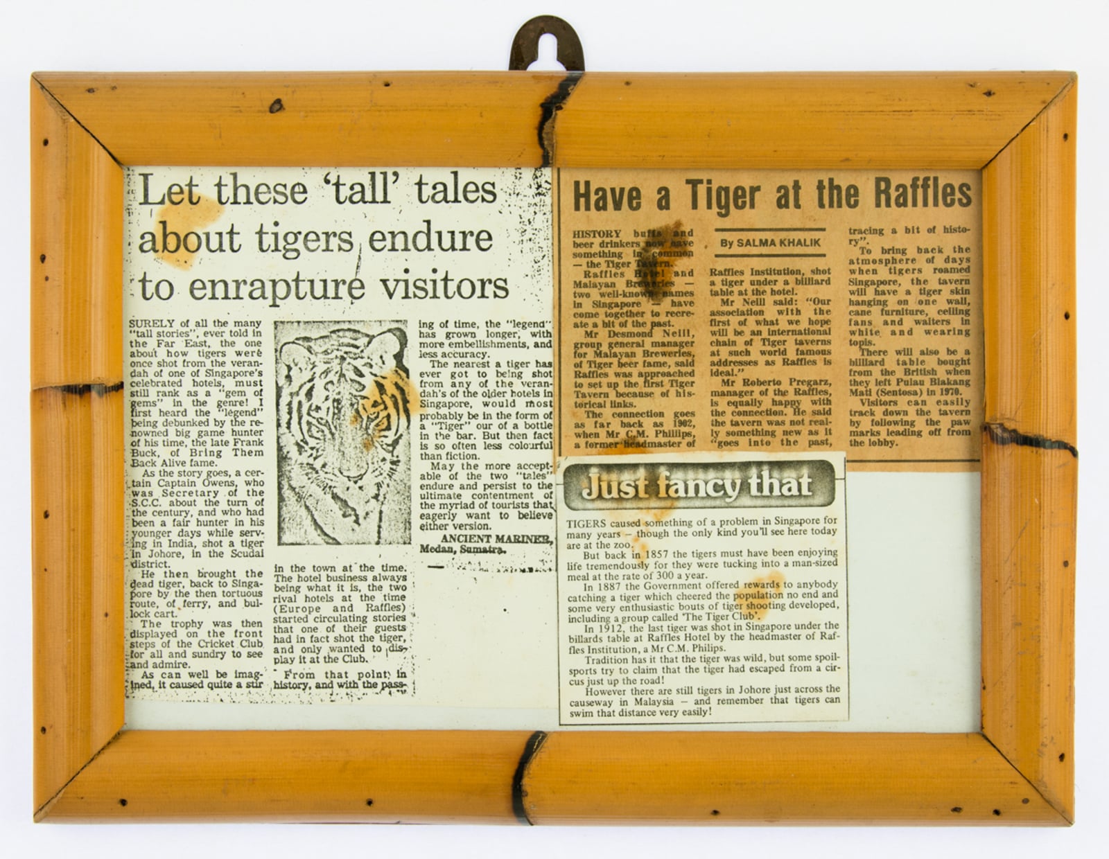 Tiger Newspaper Articles