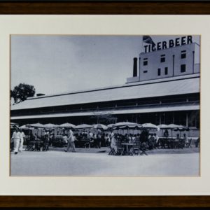 Tiger Beer Building Photo